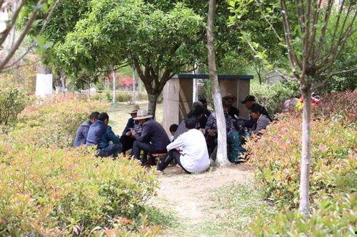 威宁动态爆料最新消息,揭秘事件背后真相 第2张 威宁动态爆料最新消息,揭秘事件背后真相 第2张