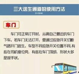 阳江今日爆料最新消息查询,揭秘今日热点事件真相 第3张 阳江今日爆料最新消息查询,揭秘今日热点事件真相 第3张